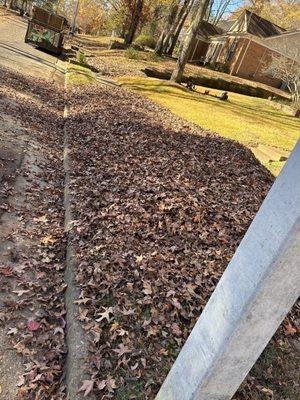 Leaf removal