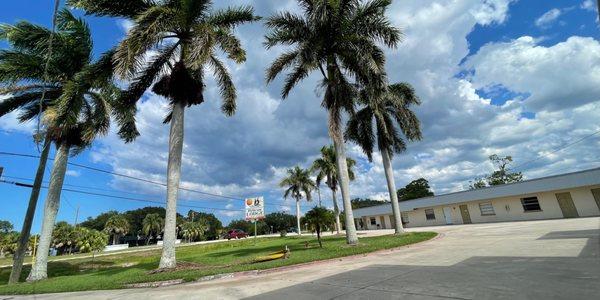 Beautiful palms in the front of the building