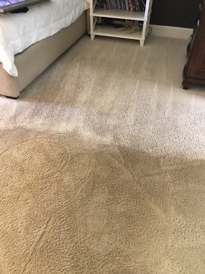 Bedroom carpet half cleaned.