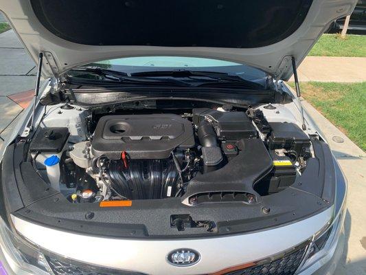 Clean Engine Bay