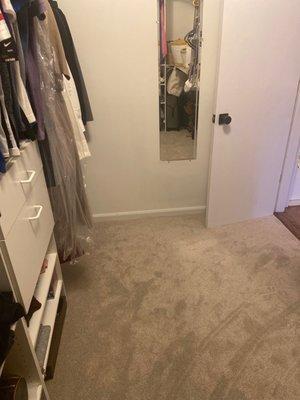 Closet rug