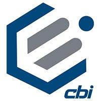 CBI Cyber Security Solutions