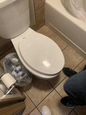 Toilet seat and lid moves around when you sit on it... or touch it