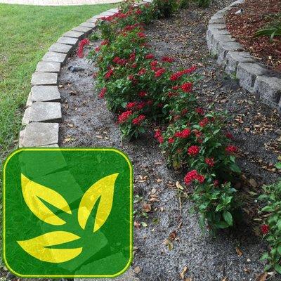 Robinson Lawn & Landscape Company