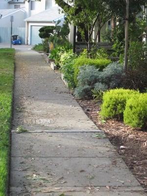 EXTREMELY POOR SERVICE - Del Conte Landscaping Inc. will leave your sidewalk like this after cutting your grass... Can you imagine this!!!