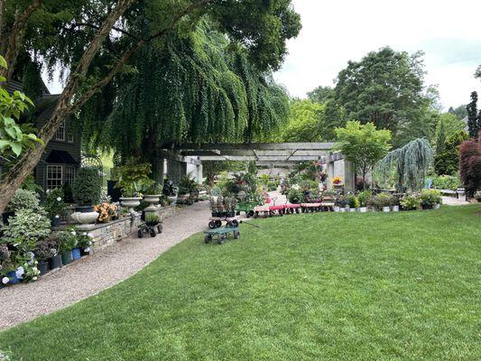 You can take a cart and go plant shopping