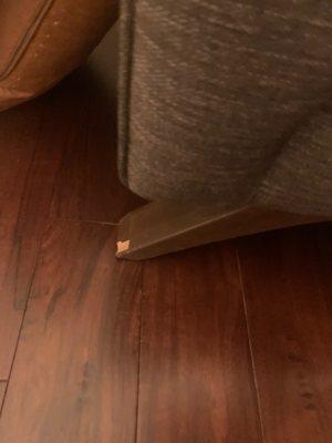 Furniture damage to couch legs