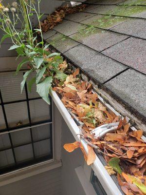 Before a gutter cleaning 508-816-5716