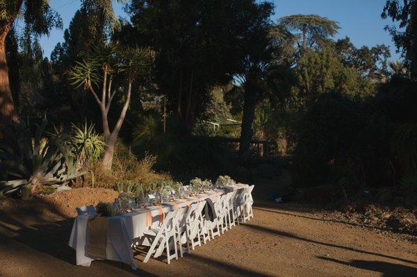 Outdoor Dining
 photo by Kim J. Martin