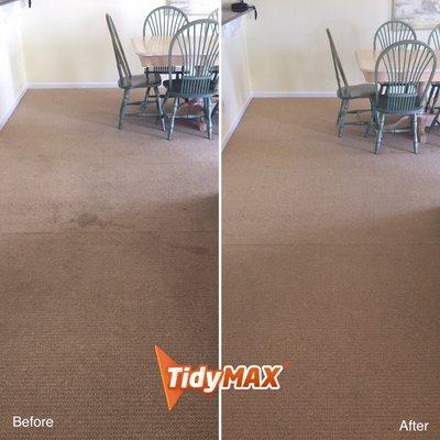 Springing into spring cleaning! Schedule your carpet cleaning appointment with us today!