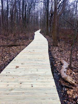 Boardwalks in the wetlands