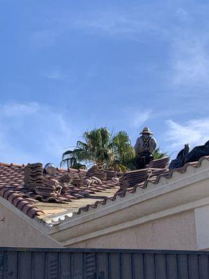 Repairs being made to our roof, the workers cleaned up very well after the job was complete.