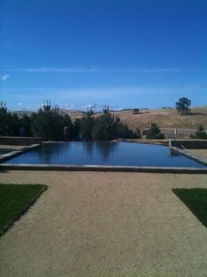 Reflection Pond