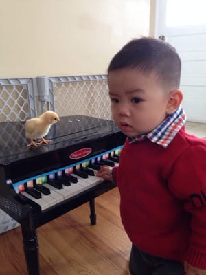 Playing piano for his rented chick.