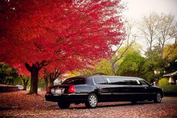 Big Ticket Limo