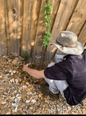 Southern Wildlife Removal And Prevention