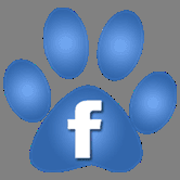 See us on FB @ facebook.com/wunderfultails