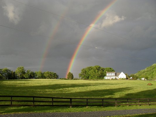 Cobbs Mountain Farm