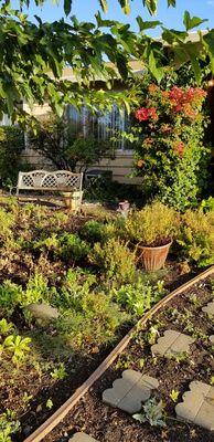 My yard is filled with all kinds of herbs that I use in my healing practice.