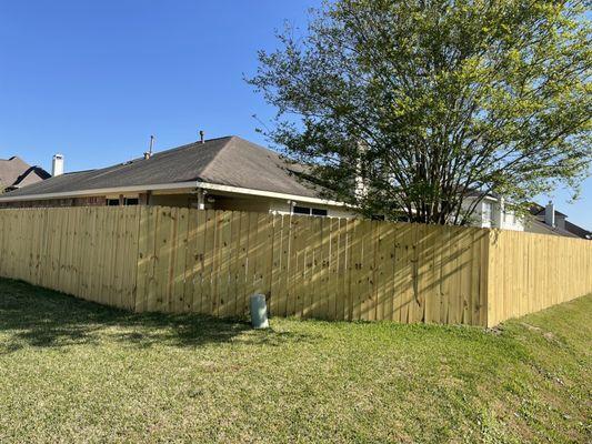 New fence