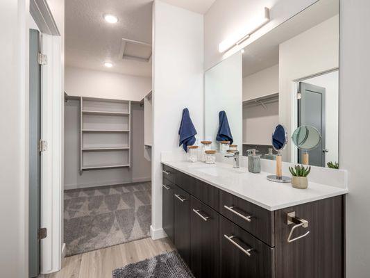 Bathroom with a walk-in closet