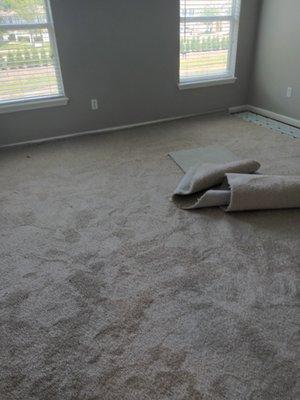 Dredsflooring And Home Remodeling