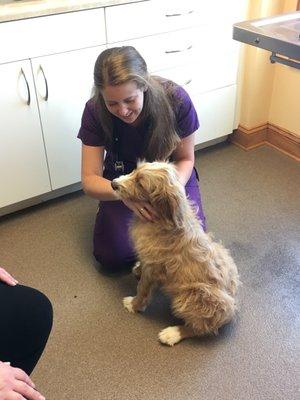 Dr. Crozier doing a puppy exam