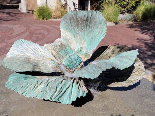 Matilija Poppy fountain.