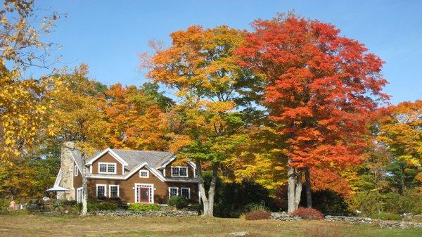 Fall Colors at Frog Meadow