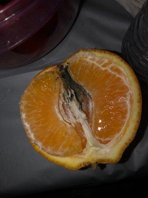 I opened 3 oranges and this nasty substance was in here! It looks like mold or algae.