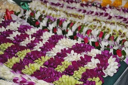 Aloha! We are Utah's largest island/Polynesian/Hawaiian specialty store. We sell fresh flower leis at the lowest prices.