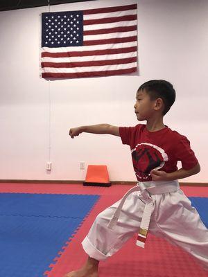 Ryan 5 years old performing some karate moves !