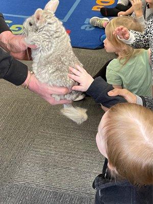 In school field trip meeting exotic animals!