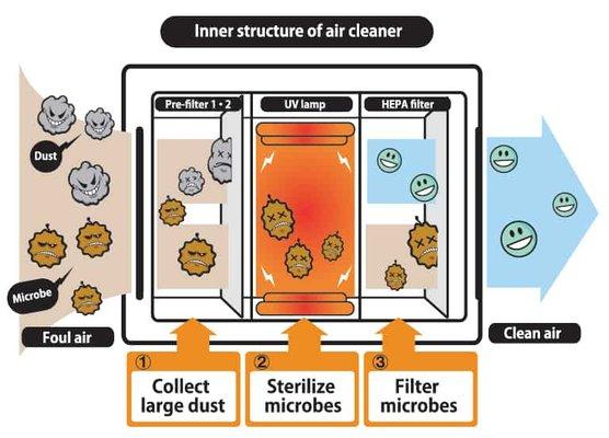 Air purification service