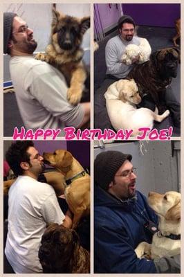 Joe collage