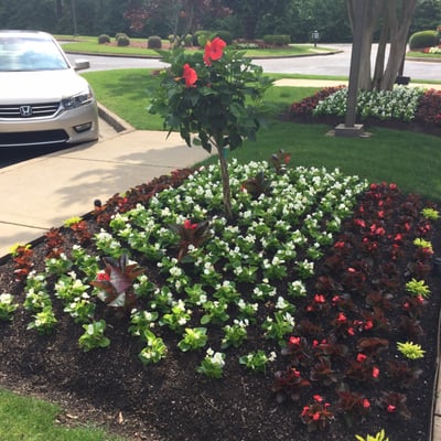 They did such a nice job last week on these flower beds! Absolutely lovely