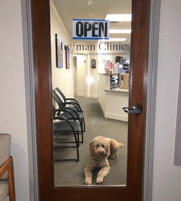 Tessa, Dr. Huffman's dog is welcoming patients.