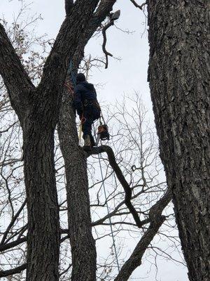 Pruning