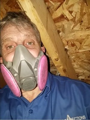 I thoroughly inspect all attics and crawlspaces.