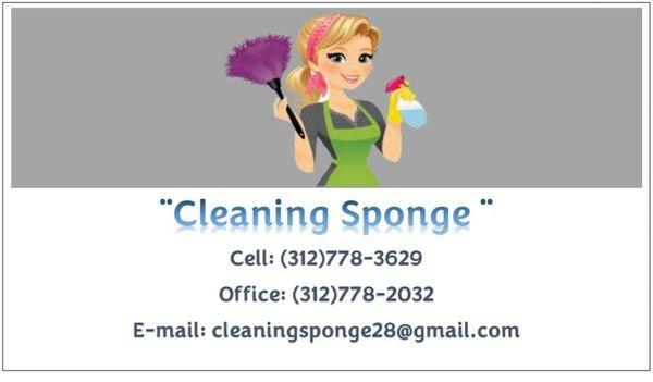 Cleaning Sponge