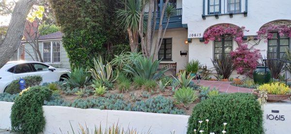 Southern California Designs. Succulent Drought Tolerant