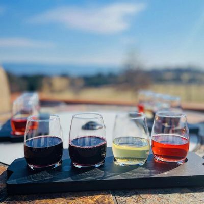 Experience the joy of a flight while basking in the warmth of the sun and breathing in the crisp, fresh air on our tasting deck!