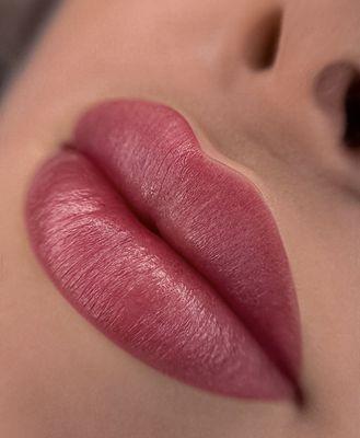 Lip Contour