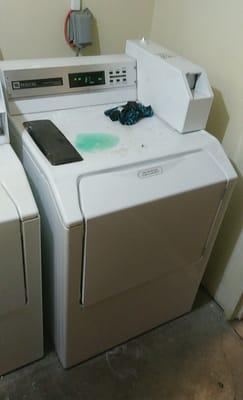 Dirty laundry rooms, many of the machines are broken, and not being repaired.