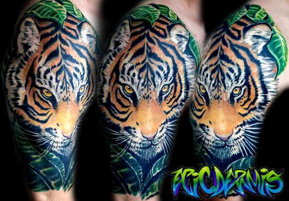 Half-sleeve tiger tattoo cover-up of an old tribal armband #coveruptattoo#wildlifetattoo #colorrealismtattoo#lancasterpatattoo