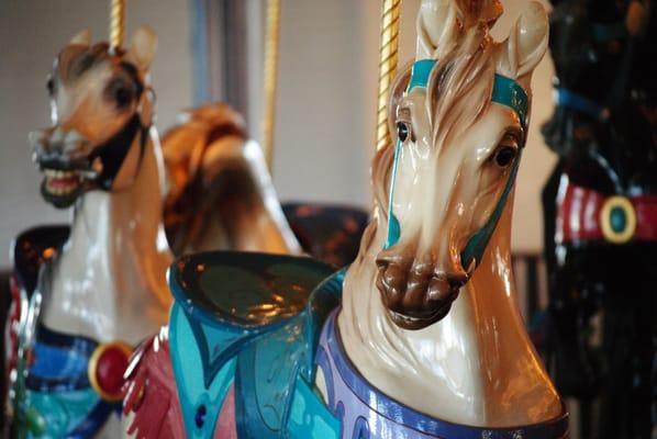 Aperture practice while the carousel was still. My S Priority motion shots need work.