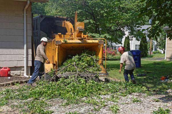 Omni Tree Service | Site clearing for construction