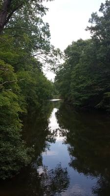 S.Toe River view from swinging bridge.