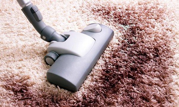 Rotowizard Carpet Cleaning