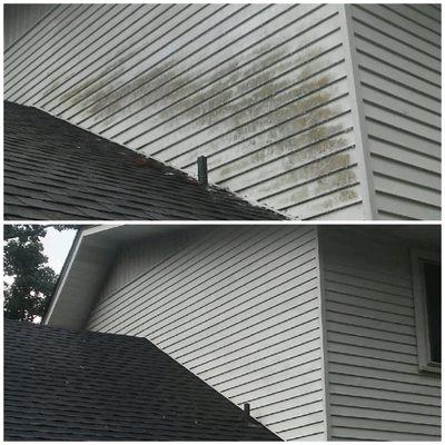 We soft wash homes to help get ride of the mold without destroying your siding with high pressure washier. Call today for a free estimate.